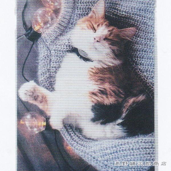 お昼寝ジップBAG A4 ミー CAT 密閉袋 猫 【レターパックプラス可20個・レターパックライト可10個・メール便可5個まで】B |  | 13