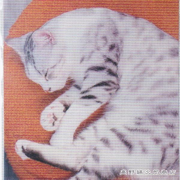お昼寝ジップBAG A4 ミー CAT 密閉袋 猫 【レターパックプラス可20個・レターパックライト可10個・メール便可5個まで】B |  | 06