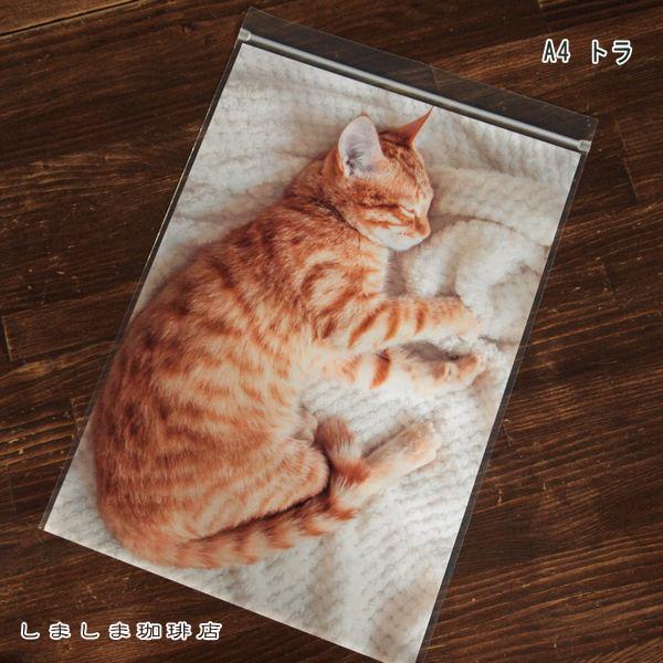 お昼寝ジップBAG A4 ミー CAT 密閉袋 猫 【レターパックプラス可20個・レターパックライト可10個・メール便可5個まで】B |  | 03