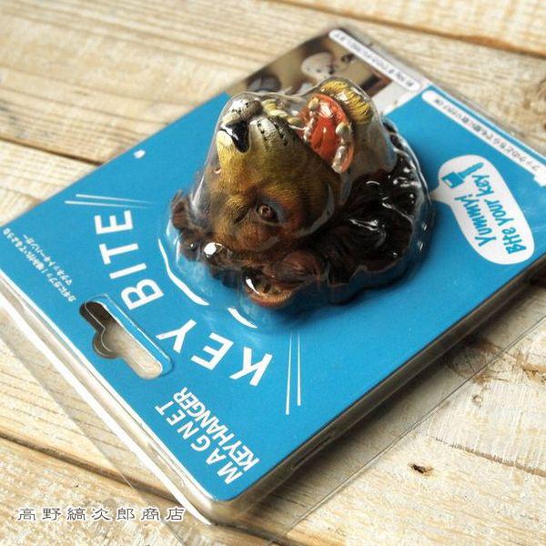 ライオン マグネットキーハンガー ねこ科 雑貨 【レターパックプラス可2個まで】E | 
