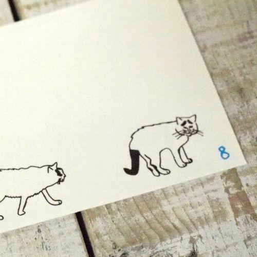野良猫八っちゃん封筒セット5枚入S  猫 文房具 【レターパックプラス可40個・レターパックライト可20個・メール便可10個まで】A |  | 02