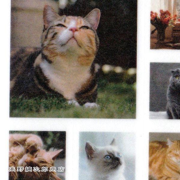 マスキングシール・フォトスクエア 猫【レターパックプラス可40個・レターパックライト可20個・メール便可10個まで】A |  | 03