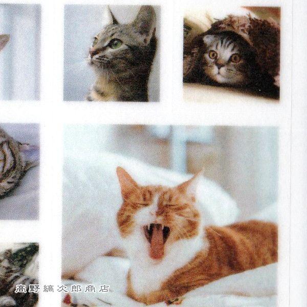 マスキングシール・フォトスクエア 猫【レターパックプラス可40個・レターパックライト可20個・メール便可10個まで】A |  | 04