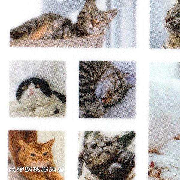 マスキングシール・フォトスクエア 猫【レターパックプラス可40個・レターパックライト可20個・メール便可10個まで】A |  | 05