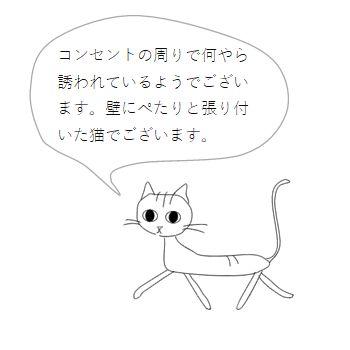 おもしろ・かおシール ねこ CAT マスキングシール 【レターパックプラス可40個・レターパックライト可20個・メール便可10個まで】A |  | 07
