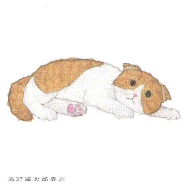 米津祐介A5ノート ネコ CAT 猫【レターパックプラス可20個まで・レターパックライト可10個まで・メール便可5個まで】B |  | 12