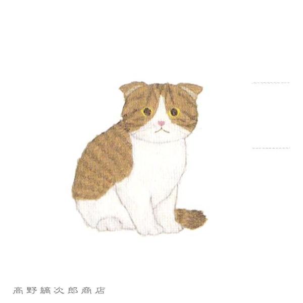 米津祐介DOUBLE LETTER SET  CAT 白猫【レターパックプラス可20個まで・レターパックライト可10個まで・メール便可5個まで】B |  | 15