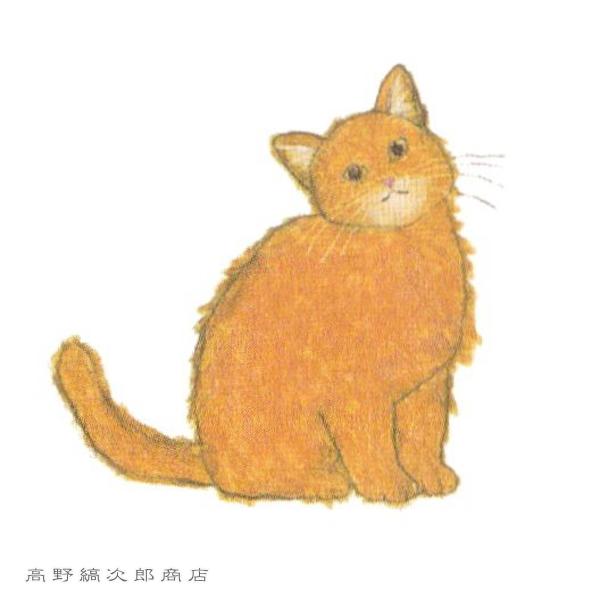 米津祐介DOUBLE LETTER SET  CAT 白猫【レターパックプラス可20個まで・レターパックライト可10個まで・メール便可5個まで】B |  | 17