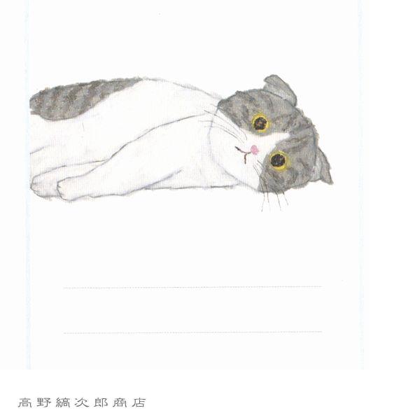 米津祐介DOUBLE LETTER SET  CAT 白猫【レターパックプラス可20個まで・レターパックライト可10個まで・メール便可5個まで】B |  | 18