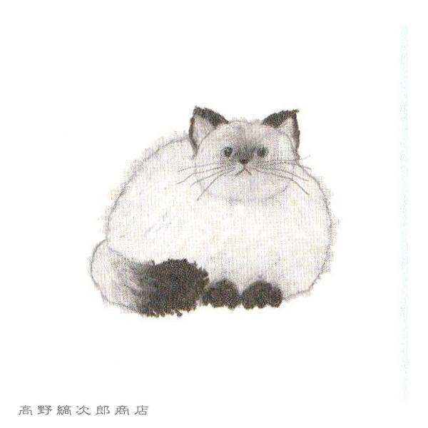 米津祐介DOUBLE LETTER SET  CAT 白猫【レターパックプラス可20個まで・レターパックライト可10個まで・メール便可5個まで】B |  | 05