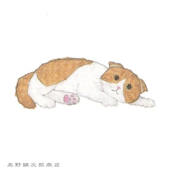 米津祐介DOUBLE LETTER SET  CAT 白猫【レターパックプラス可20個まで・レターパックライト可10個まで・メール便可5個まで】B |  | 06