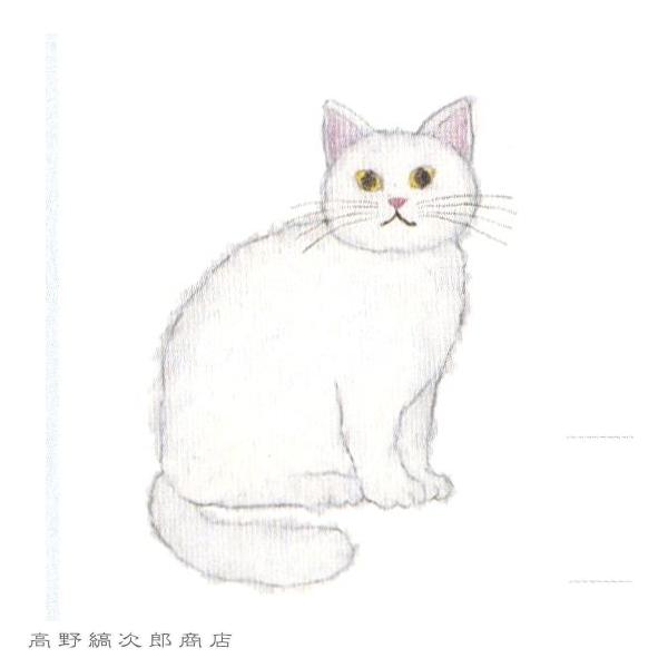 米津祐介DOUBLE LETTER SET  CAT 白猫【レターパックプラス可20個まで・レターパックライト可10個まで・メール便可5個まで】B |  | 07