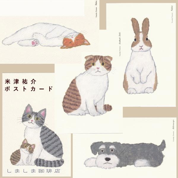 米津祐介ポストカード１枚 CAT 猫はがき【レターパックプラス可40個まで・レターパックライト可20個まで・メール便可10個まで】A | 