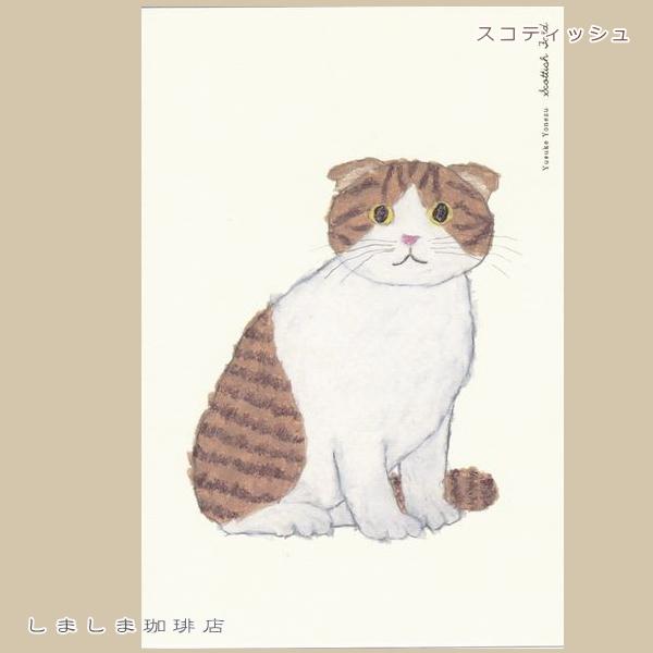 米津祐介ポストカード１枚 CAT 猫はがき【レターパックプラス可40個まで・レターパックライト可20個まで・メール便可10個まで】A |  | 02