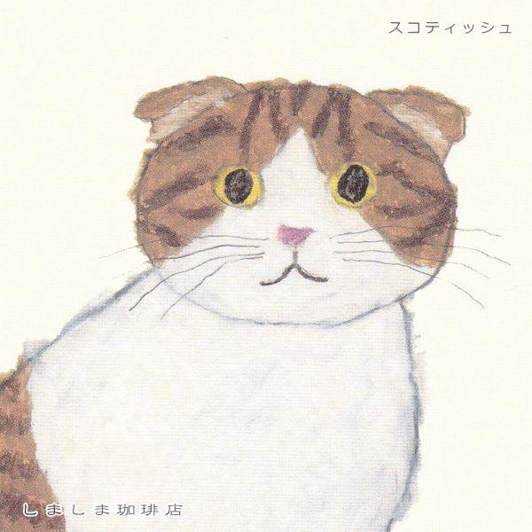 米津祐介ポストカード１枚 CAT 猫はがき【レターパックプラス可40個まで・レターパックライト可20個まで・メール便可10個まで】A |  | 09