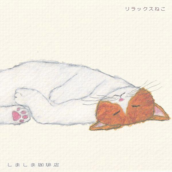 米津祐介ポストカード１枚 CAT 猫はがき【レターパックプラス可40個まで・レターパックライト可20個まで・メール便可10個まで】A |  | 11