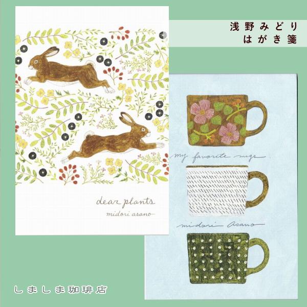 浅野 みどり ハガキ箋 10枚綴りcat 猫【レターパックプラス可20個まで・レターパックライト可10個まで・メール便可5個まで】B | 