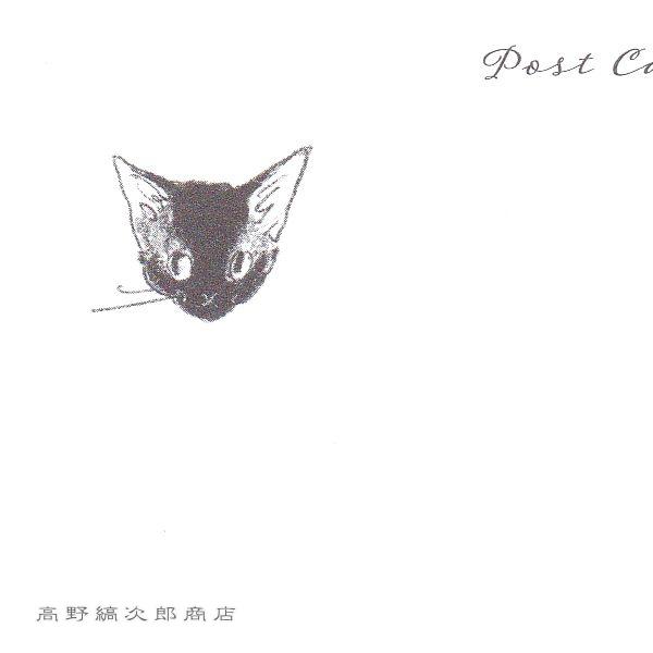 くらはしれいポストカード No1 猫絵葉書１枚 ネコはがき 【レターパックプラス可40個まで・レターパックライト可20個まで・メール便可10個まで】A |  | 15