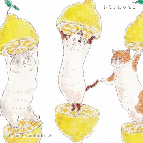 トコロコムギ ポストカードNo.1 猫はがき 1枚TOCORO COMUGI【レターパックプラス可40個・レターパックライト可20個・メール便可10個まで】A |  | 17