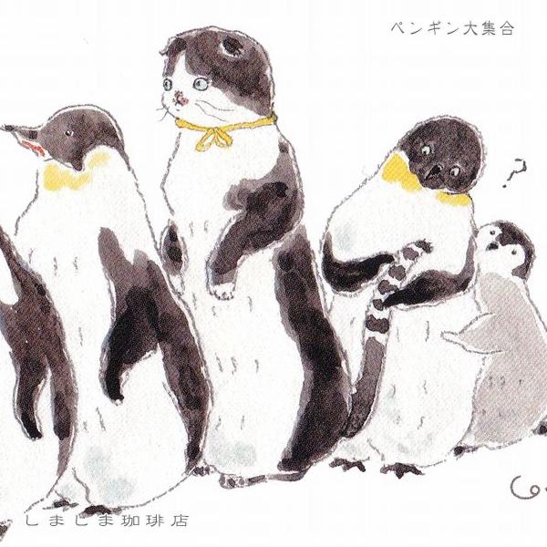 トコロコムギ ポストカードNo.1 猫はがき 1枚TOCORO COMUGI【レターパックプラス可40個・レターパックライト可20個・メール便可10個まで】A |  | 05