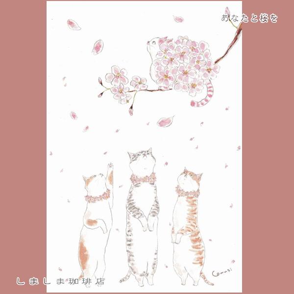 トコロコムギ ポストカードNo.4 猫はがき 1枚TOCORO COMUGI【レターパックプラス可40個・レターパックライト可20個・メール便可10個まで】A |  | 01