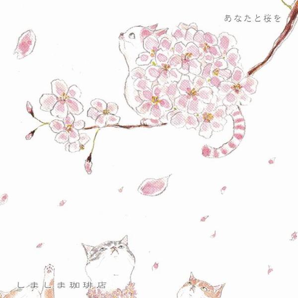 トコロコムギ ポストカードNo.4 猫はがき 1枚TOCORO COMUGI【レターパックプラス可40個・レターパックライト可20個・メール便可10個まで】A |  | 05