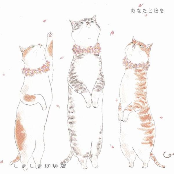 トコロコムギ ポストカードNo.4 猫はがき 1枚TOCORO COMUGI【レターパックプラス可40個・レターパックライト可20個・メール便可10個まで】A |  | 06