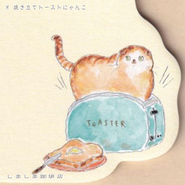 トコロコムギ しっかり貼れるピタふせんM No.2 付箋 1個 猫TOCORO COMUGI【レターパックプラス可40個・レターパックライト可20個・メール便可10個まで】A |  | 17