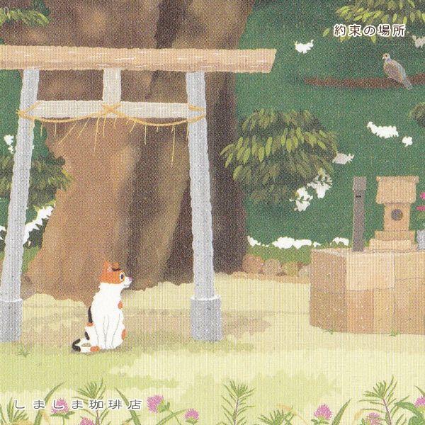 たびネコポストカード 1枚 夏の風景 猫 はがき【レターパックプラス可40個まで・レターパックライト可20個まで・メール便可10個まで】A |  | 12