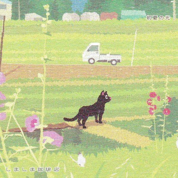 たびネコポストカード 1枚 夏の風景 猫 はがき【レターパックプラス可40個まで・レターパックライト可20個まで・メール便可10個まで】A |  | 14