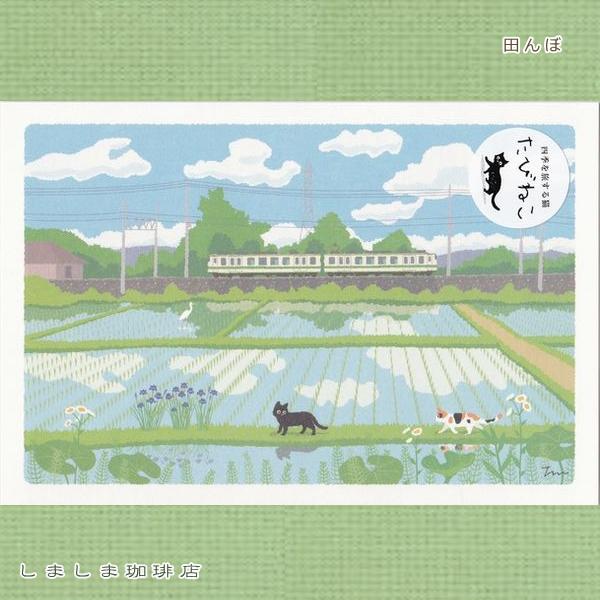 たびネコポストカード 1枚 夏の風景 猫 はがき【レターパックプラス可40個まで・レターパックライト可20個まで・メール便可10個まで】A |  | 01