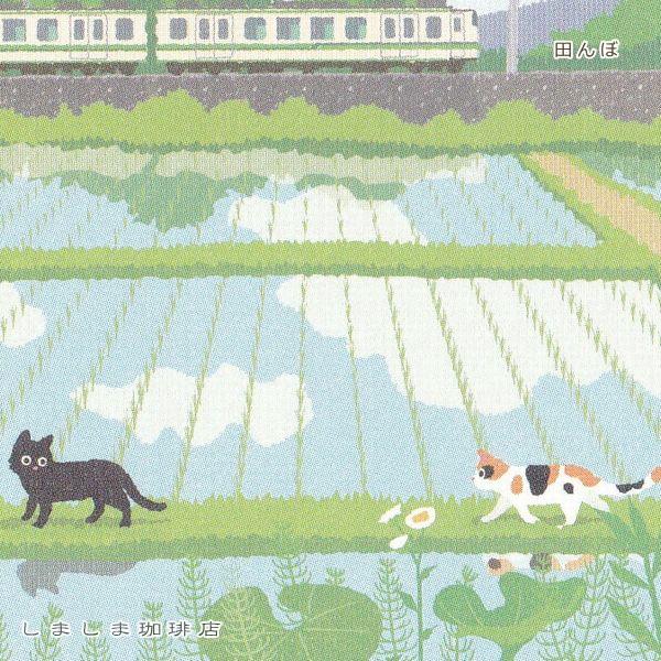 たびネコポストカード 1枚 夏の風景 猫 はがき【レターパックプラス可40個まで・レターパックライト可20個まで・メール便可10個まで】A |  | 08