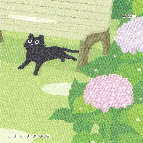 たびネコポストカード 1枚 夏の風景 猫 はがき【レターパックプラス可40個まで・レターパックライト可20個まで・メール便可10個まで】A |  | 09