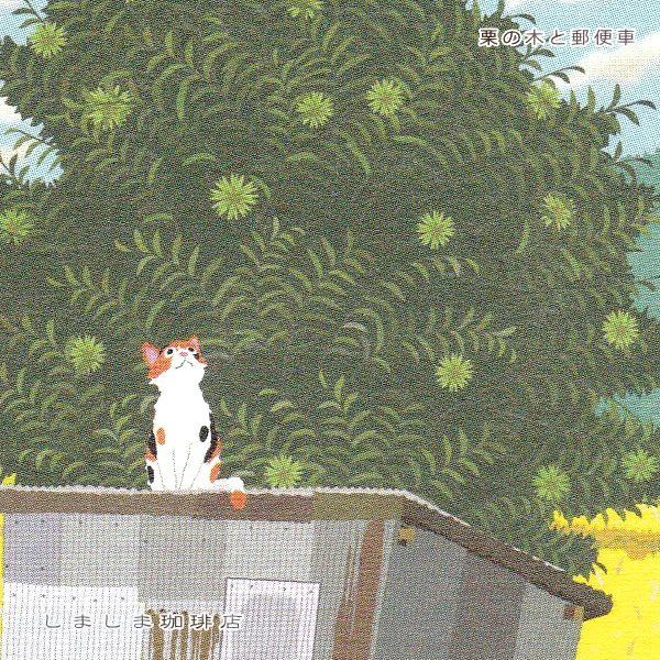 たびネコポストカード 1枚 秋の風景B 猫 はがき【レターパックプラス可40個まで・レターパックライト可20個まで・メール便可10個まで】A |  | 06