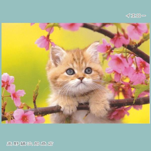 春柄仔猫ポストカードB 猫はがき 1枚 CAT ねこ 【レターパックプラス可40個まで・レターパックライト可20個まで・メール便可10個まで】A |  | 01