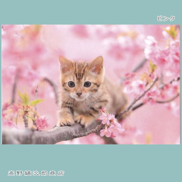 春柄仔猫ポストカードB 猫はがき 1枚 CAT ねこ 【レターパックプラス可40個まで・レターパックライト可20個まで・メール便可10個まで】A |  | 03