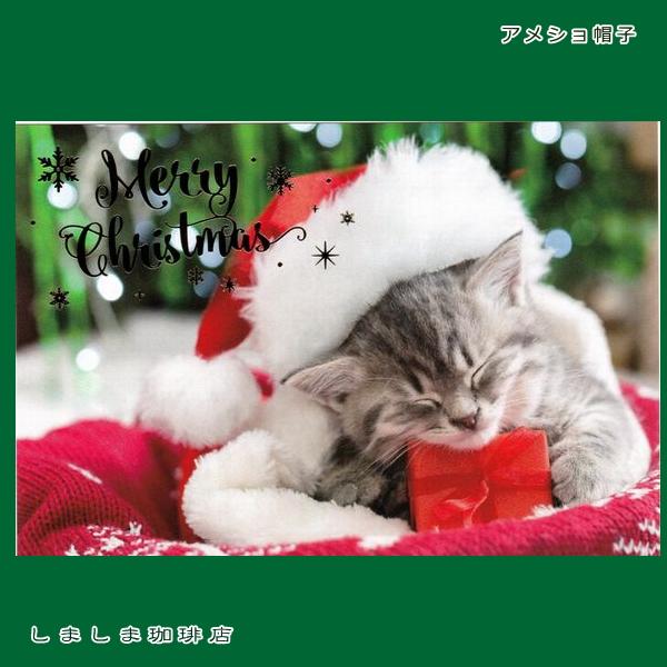 クリスマス仔猫ポストカード１枚  猫 はがき【レターパックプラス可40個まで・レターパックライト可20個まで・メール便可10個まで】A |  | 05