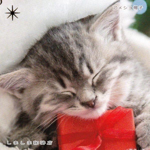 クリスマス仔猫ポストカード１枚  猫 はがき【レターパックプラス可40個まで・レターパックライト可20個まで・メール便可10個まで】A |  | 13