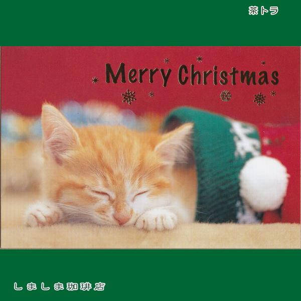 クリスマス仔猫ポストカード１枚  猫 はがき【レターパックプラス可40個まで・レターパックライト可20個まで・メール便可10個まで】A |  | 01