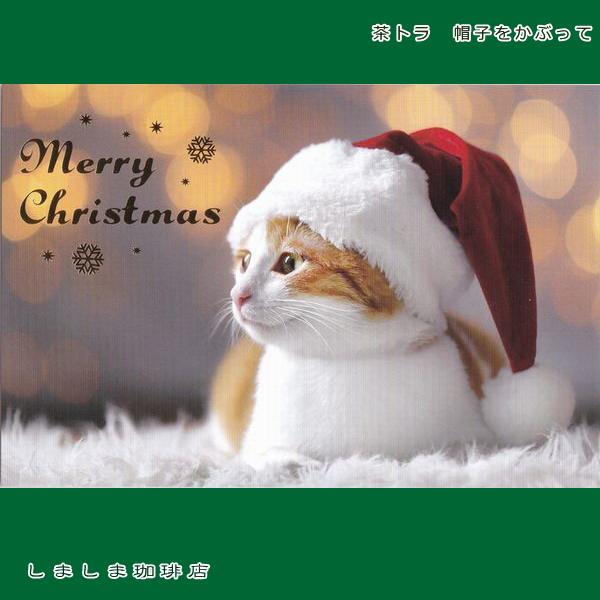 クリスマス仔猫ポストカード１枚  猫 はがき【レターパックプラス可40個まで・レターパックライト可20個まで・メール便可10個まで】A |  | 02