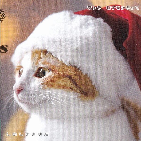 クリスマス仔猫ポストカード１枚  猫 はがき【レターパックプラス可40個まで・レターパックライト可20個まで・メール便可10個まで】A |  | 09