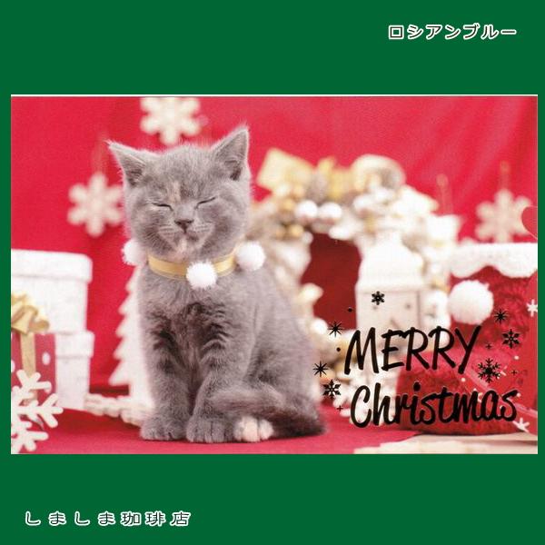 クリスマス仔猫ポストカード１枚  猫 はがき【レターパックプラス可40個まで・レターパックライト可20個まで・メール便可10個まで】A |  | 03