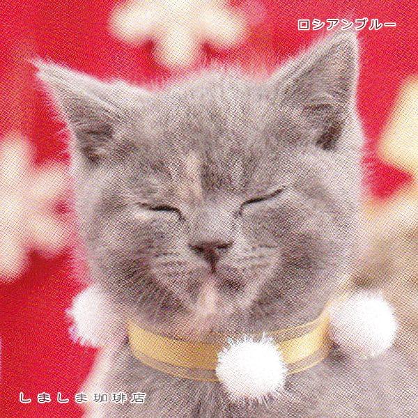 クリスマス仔猫ポストカード１枚  猫 はがき【レターパックプラス可40個まで・レターパックライト可20個まで・メール便可10個まで】A |  | 10