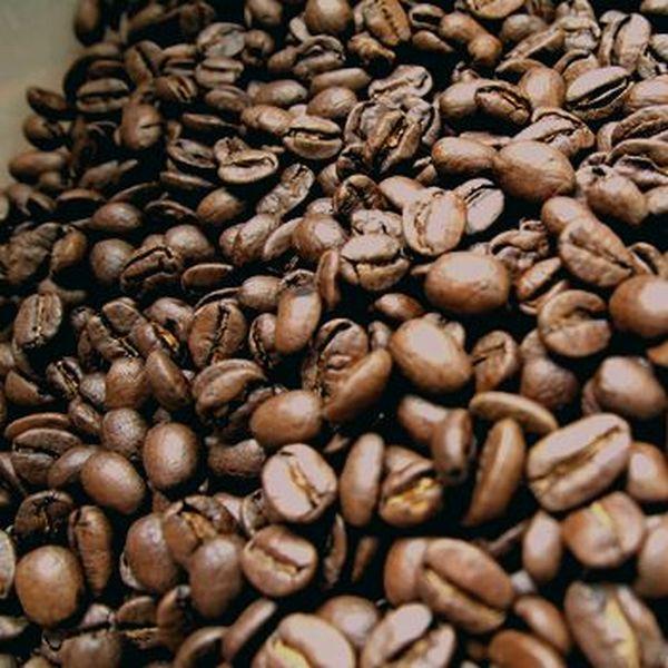 エル・ローブレ農園/シティロースト/コロンビア【コーヒー豆 200g】【レターパックプラス可4個まで】【レターパックライト可2個まで】D |  | 01