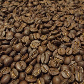 ブラックバーン農園  タンザニア 【ミディアムロースト コーヒー豆 200g】【レターパックプラス可4個まで】【レターパックライト可2個まで】D |  | 01