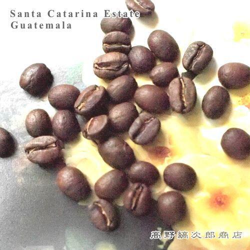 サンタカタリーナ農園/シティロースト/グァテマラ【コーヒー豆 200g】【レターパックプラス可4個まで】【レターパックライト可2個まで】D | 