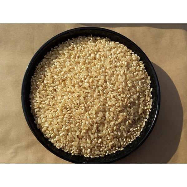 お米 20kg 玄米 コシヒカリ 玄米食用 令和7年産 2025年産 石川県 やわらか玄米 特別栽培 栽培期間中農薬不使用_4
