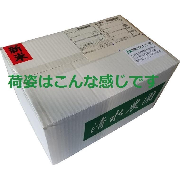 お米 20kg 玄米 コシヒカリ 玄米食用 令和7年産 2025年産 石川県 やわらか玄米 特別栽培 栽培期間中農薬不使用_5