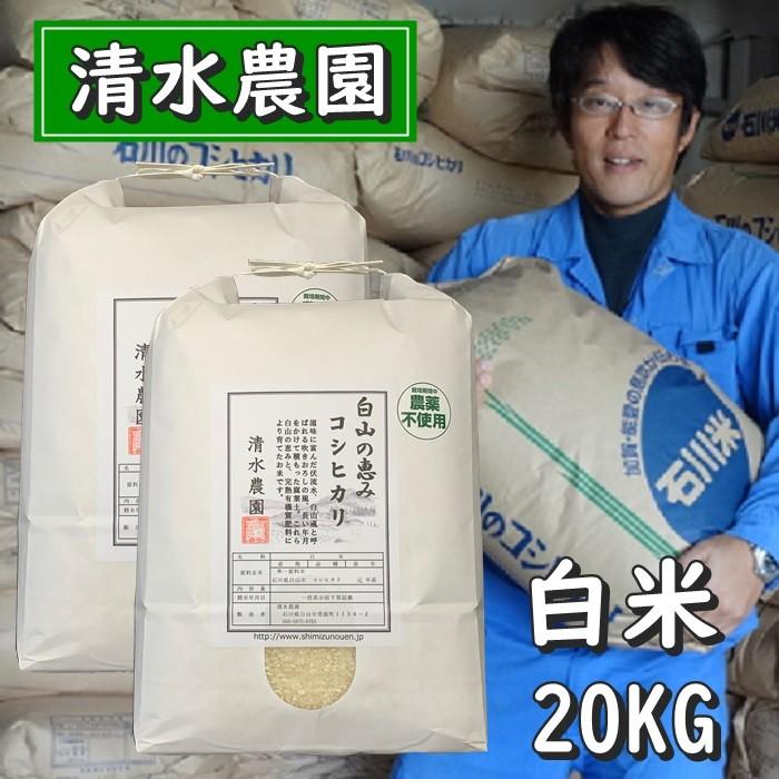 お米 白米 20kg コシヒカリ 令和4年産 2022年産 石川県白山市産