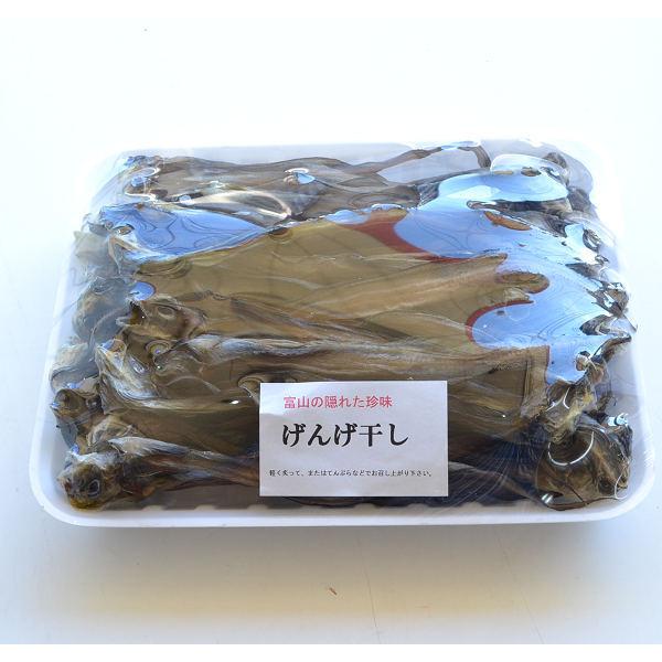 【業務用】富山の隠れた珍味地元でも海辺の方でしか食べなかった『げんげ』|simizustore|03